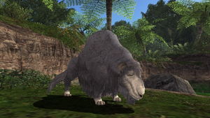 Name:  MogGarden1_036.jpg
Views: 60
Size:  55.4 KB