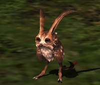 Name:  MogGarden1_034.jpg
Views: 22
Size:  48.5 KB