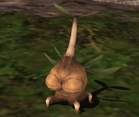 Name:  MogGarden1_035.jpg
Views: 23
Size:  45.9 KB