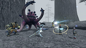 Final Fantasy Xi Forum