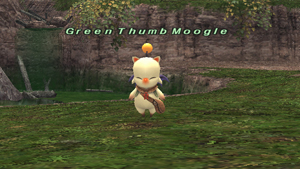 Name:  MogGarden2_001.jpg
Views: 22
Size:  88.1 KB