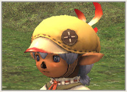 Name:  ChocoboBeret.jpg
Views: 83
Size:  56.0 KB