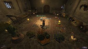 Click image for larger version

Name:	Final Fantasy XI Mog House 3.jpg
Views:	194
Size:	19.4 KB
ID:	3794