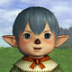 FF11WN's Avatar