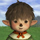Nareyon's Avatar