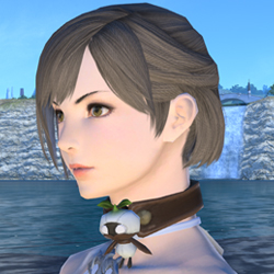 Name:  Mandragora Choker.jpg
Views: 31
Size:  56.7 KB