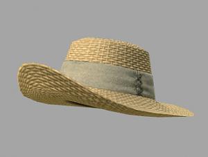 Click image for larger version

Name:	new-hat2.jpg
Views:	1300
Size:	29.4 KB
ID:	86